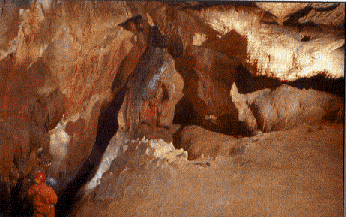 Cueva de La Sima